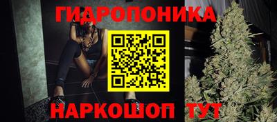 mdpv Кингисепп