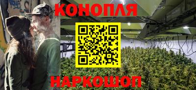 mdpv Кингисепп