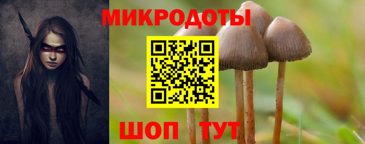 Псилоцибиновые грибы прущие грибы  Галлюциногенные грибы GOLDEN TEACHER  Вход с VPN  Королёв 